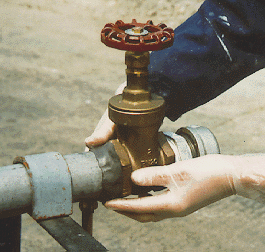 Thortex THORTEX México - Somos el Distribuidor Exclusivo de la Marca THORTEX en ...